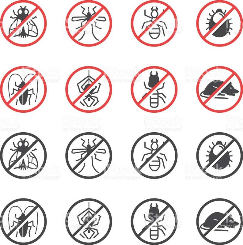 Tree Injection for Pest Control Tree Injection for Pest Control